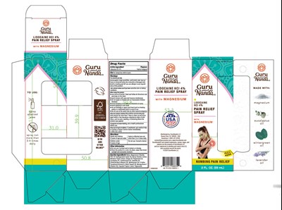 08835 GN Lidocaine Pain Relief Spray.jpg 088353 - 08835 GN Lidocaine Pain Relief Spray